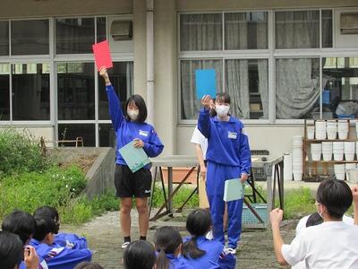 各クラス団抽選